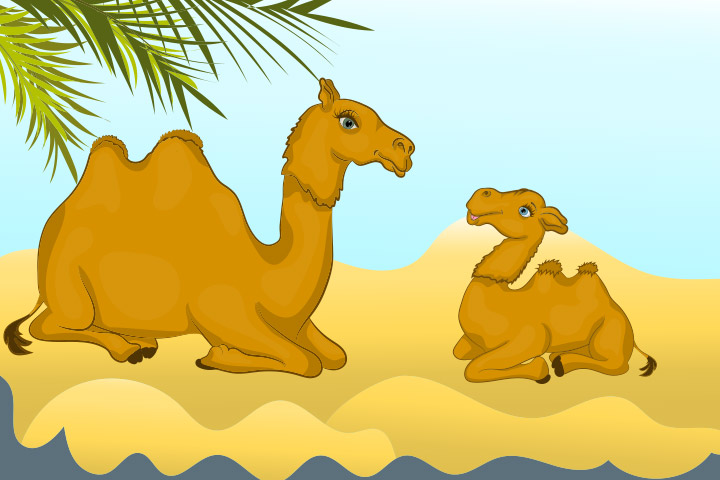 This image has an empty alt attribute; its file name is The-camel-and-the-baby-1.jpg